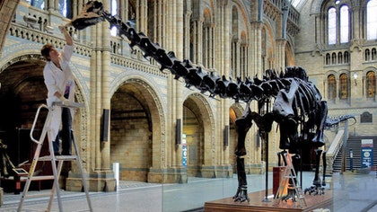 A new dinosaur species was discovered in Argentina at one of South American's most important paleontological sites.